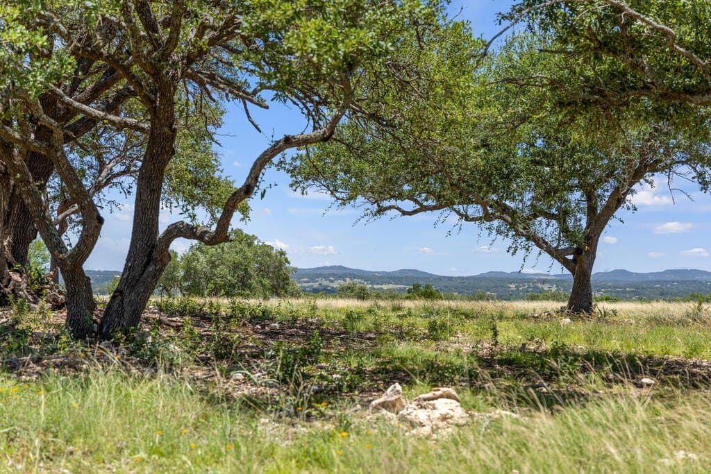 56.68 acres in Blanco County - photo 17