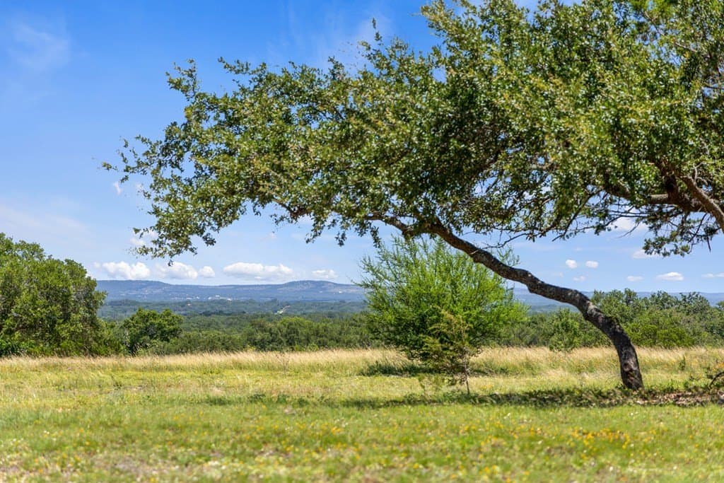 56.68 acres in Blanco County - photo 6