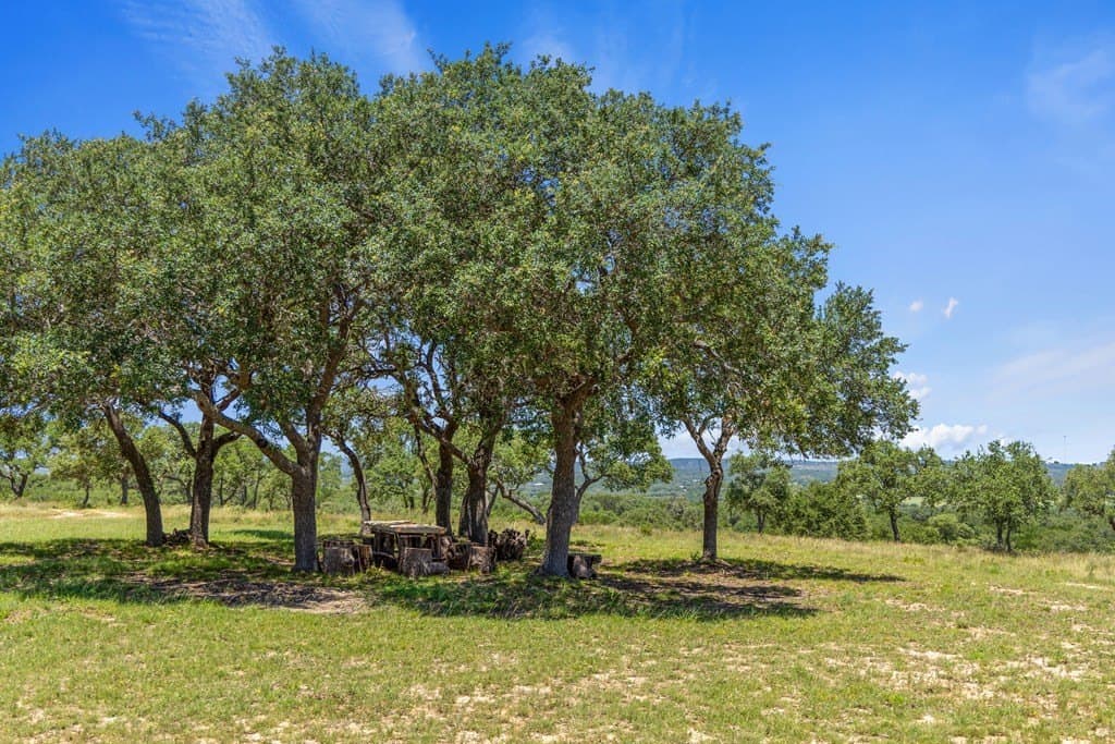 56.68 acres in Blanco County - photo 5