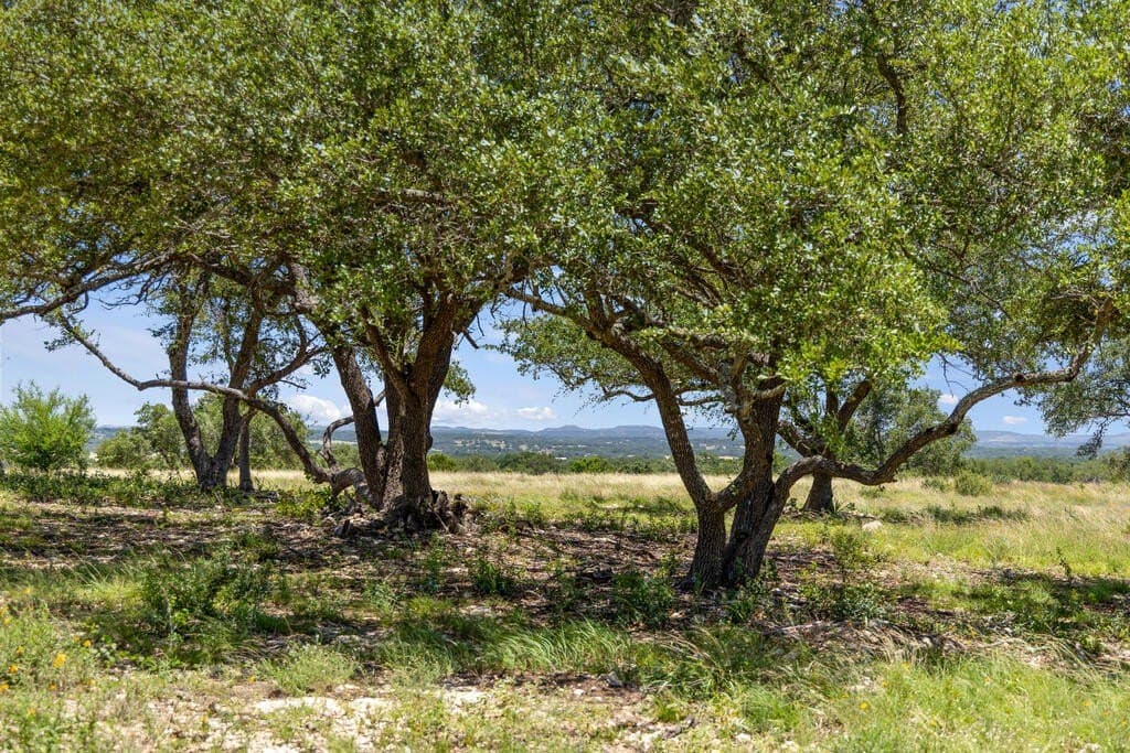 56.68 acres in Blanco County - photo 16