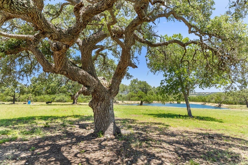 56.68 acres in Blanco County - photo 3