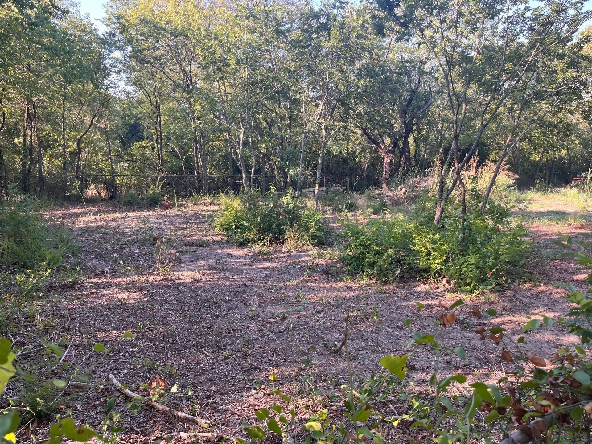 0.42 acres in Dallas County gallery image 4