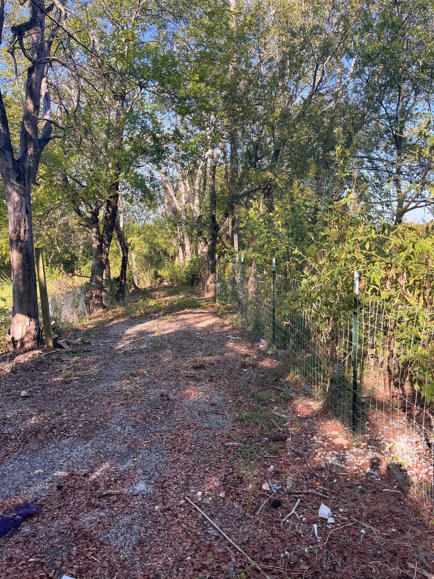0.42 acres in Dallas County gallery image 3