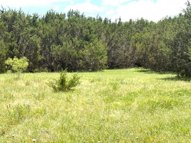 10.01 acres in Hamilton County - photo 16