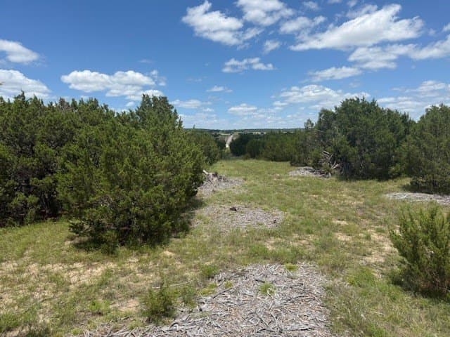 10.01 acres in Hamilton County gallery image 2