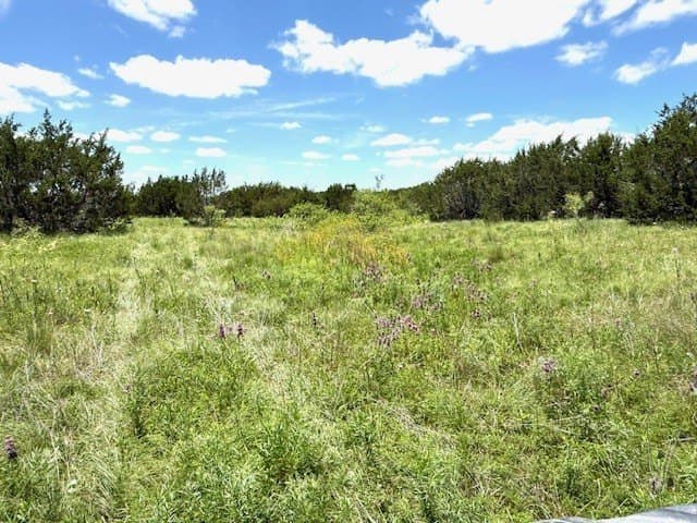 10.01 acres in Hamilton County - photo 14