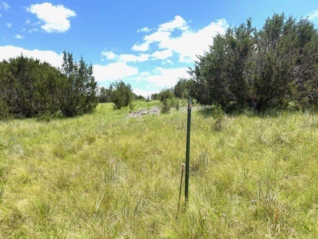 10.01 acres in Hamilton County - photo 13