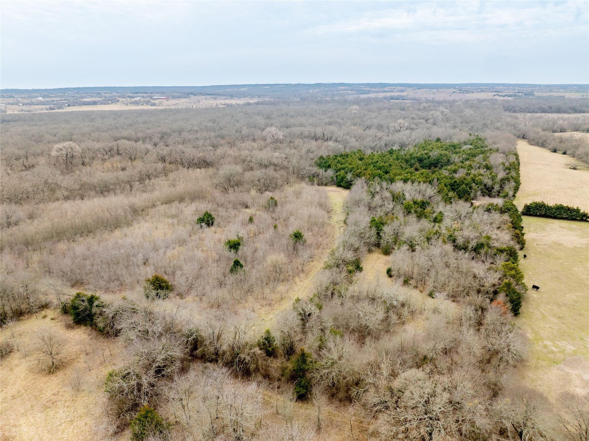 30.5 acres in Collin County - photo 6