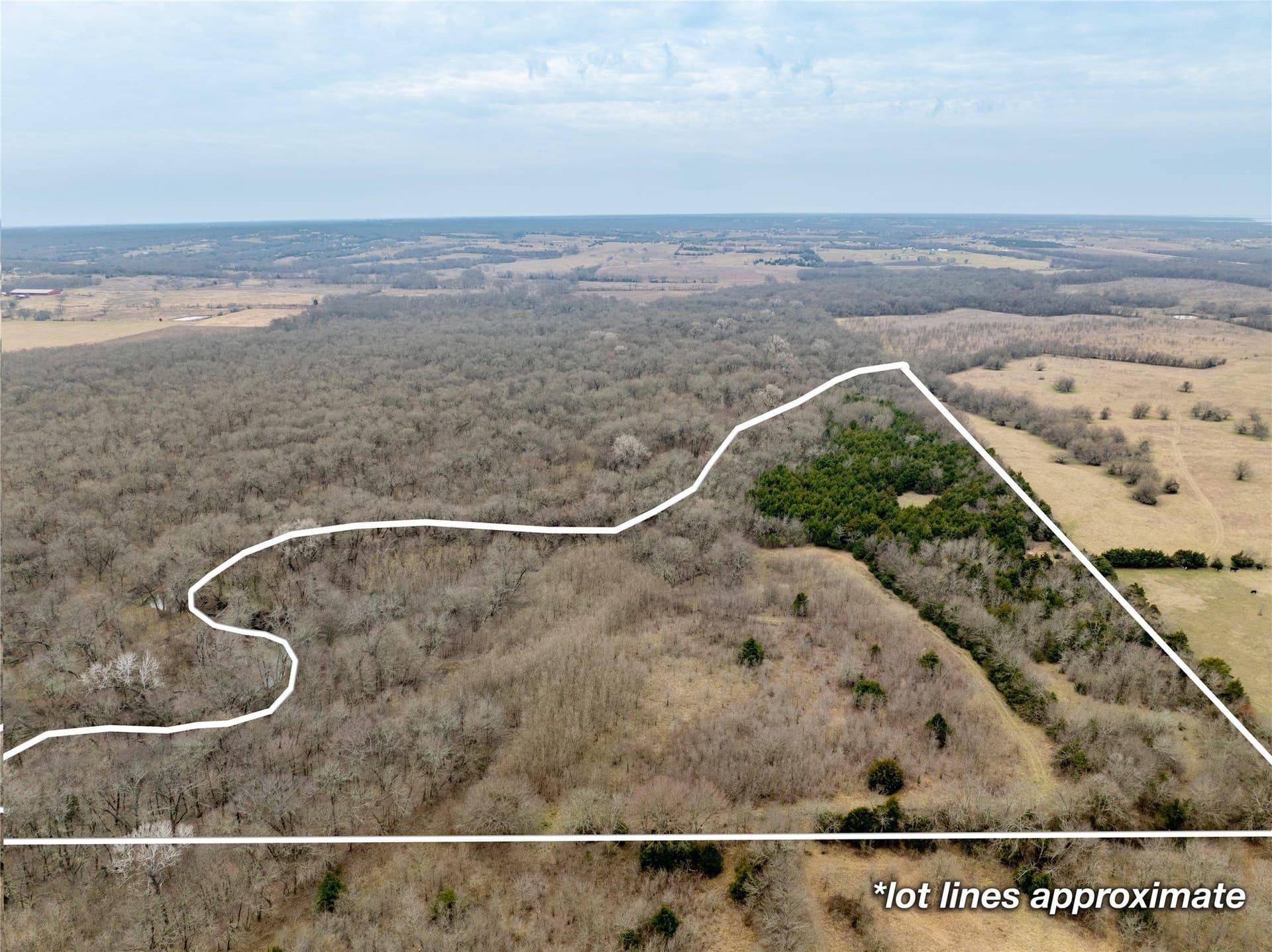 30.5 acres in Collin County featured view