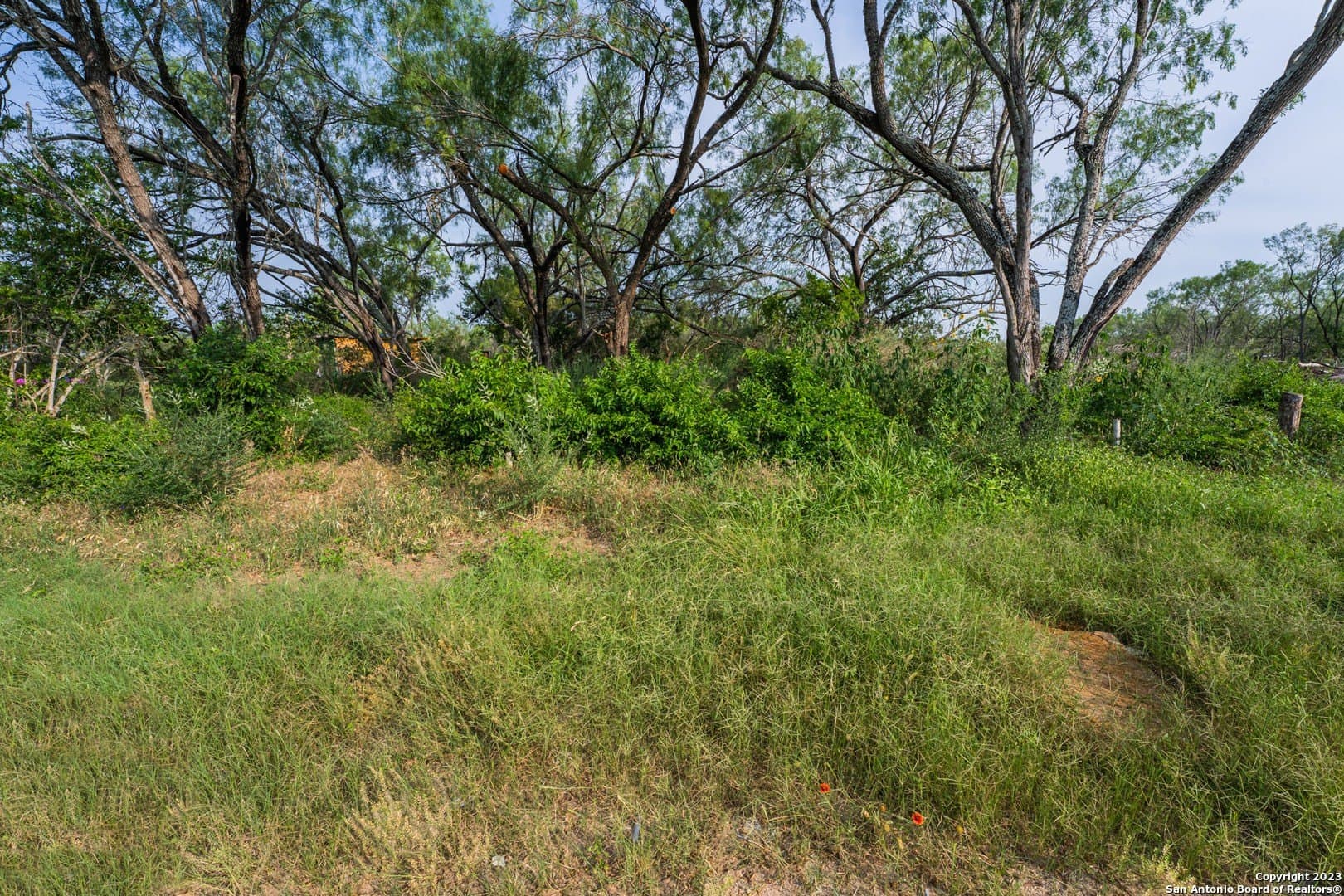 10.02 acres in Bexar County - photo 5