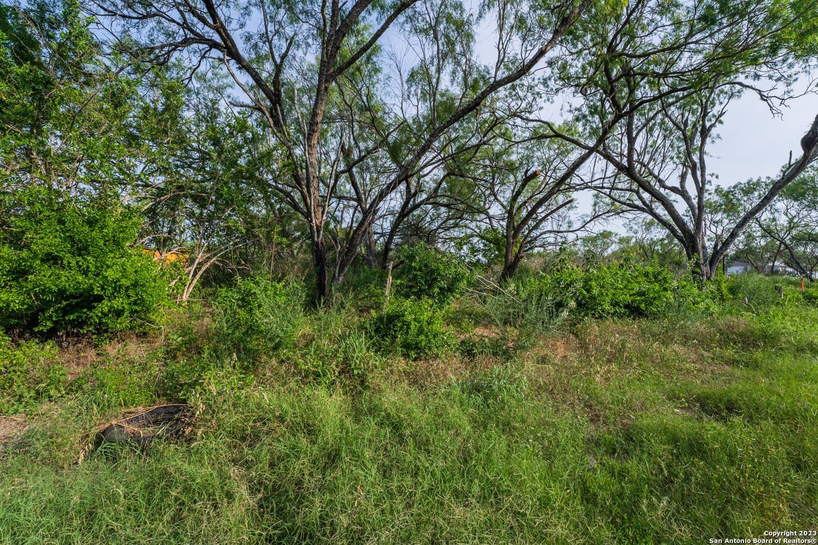 10.02 acres in Bexar County - photo 3
