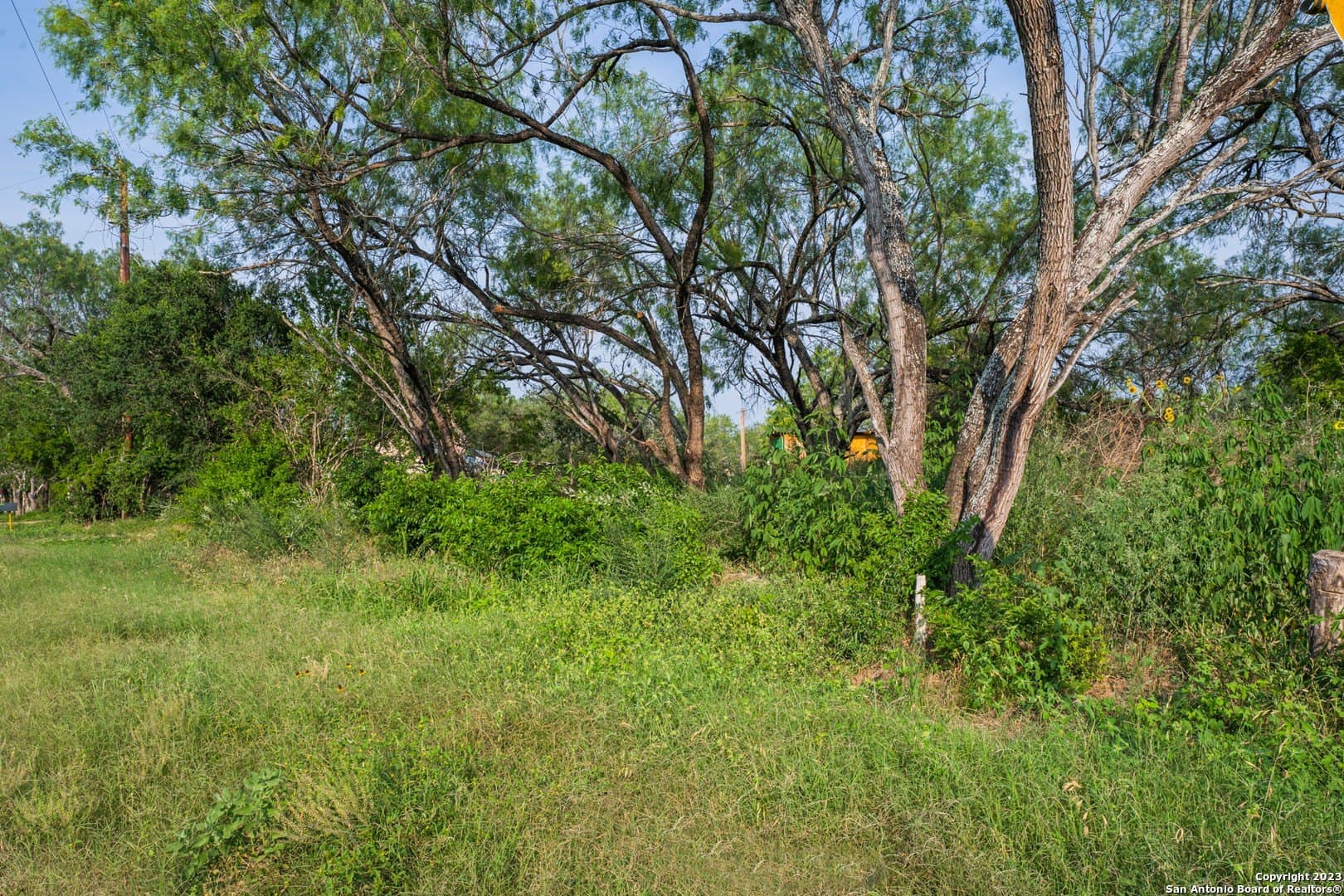 10.02 acres in Bexar County - photo 4