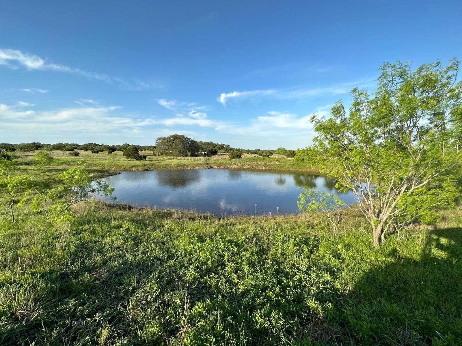 13.69 acres in Burnet County gallery image 3