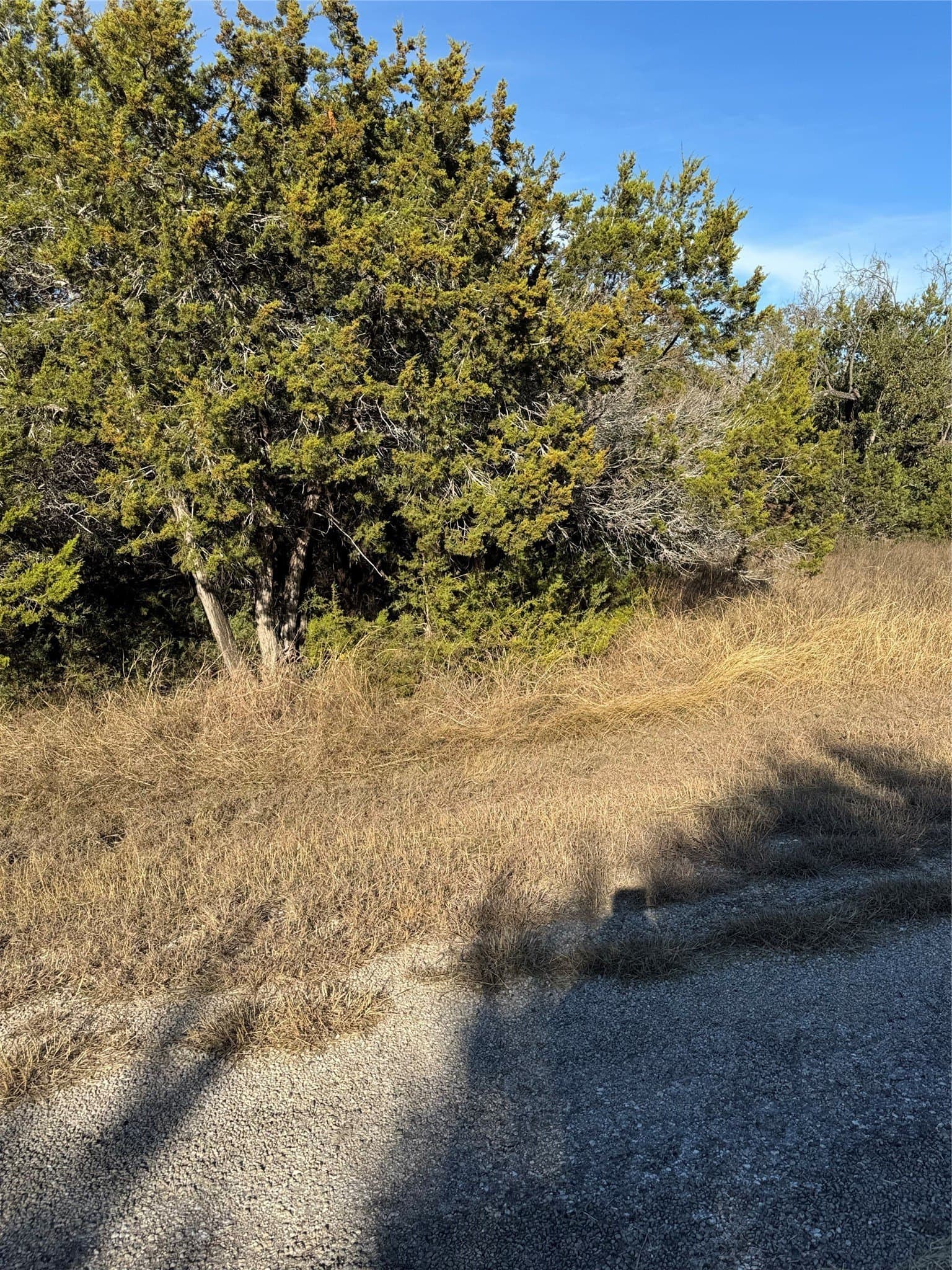 0.26 acres in Hill County - photo 8