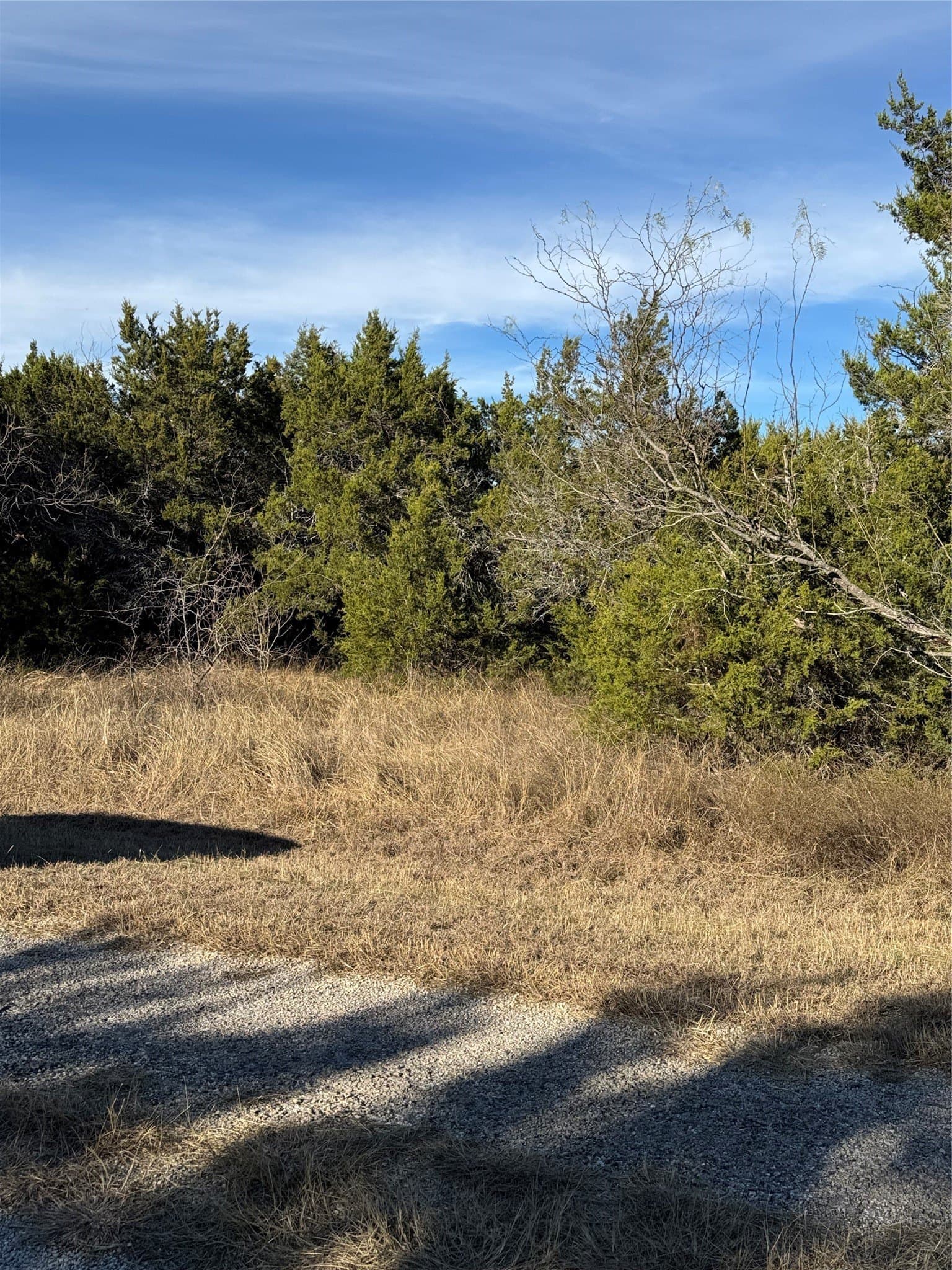 0.26 acres in Hill County - photo 12