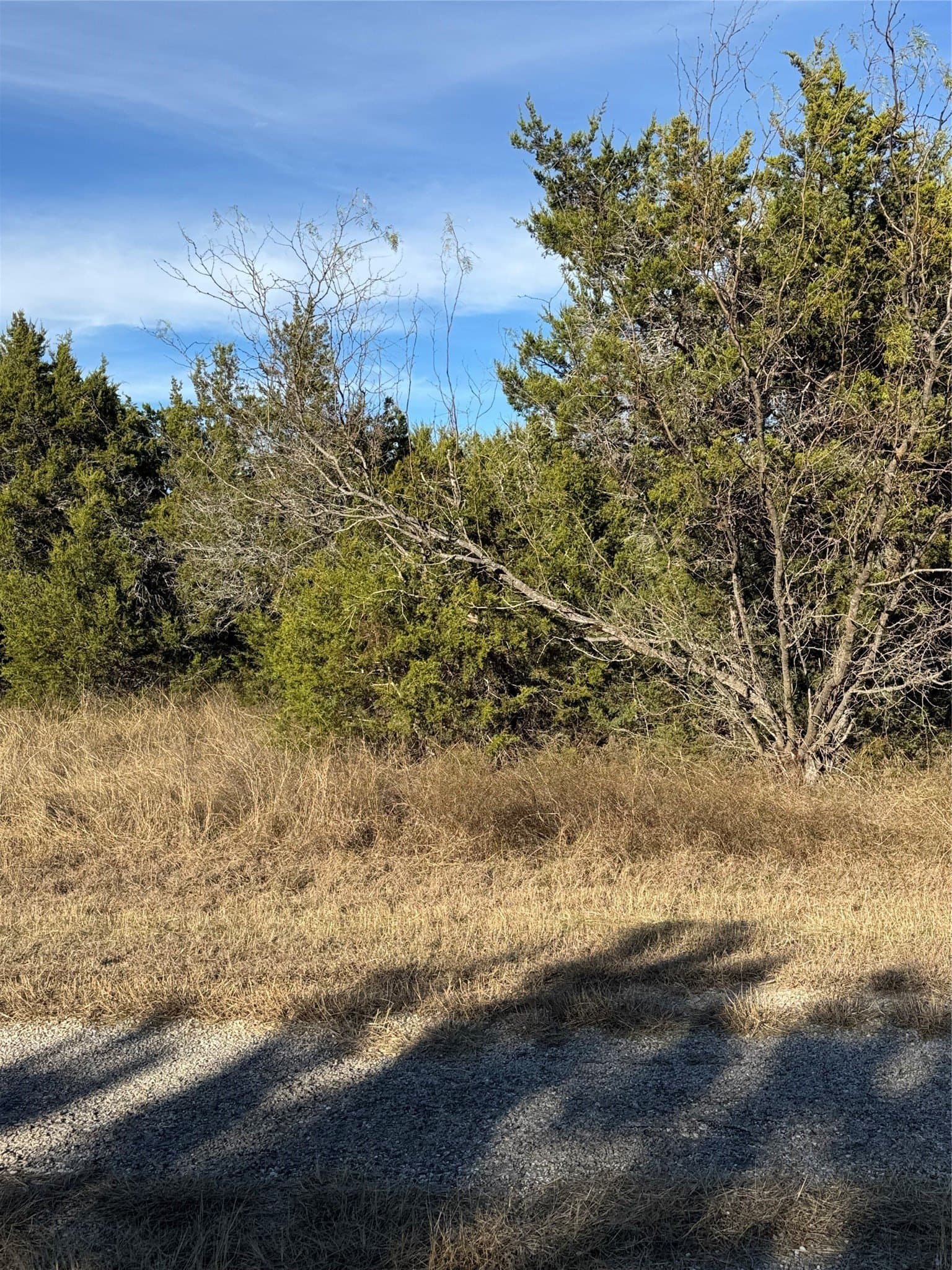 0.26 acres in Hill County - photo 11