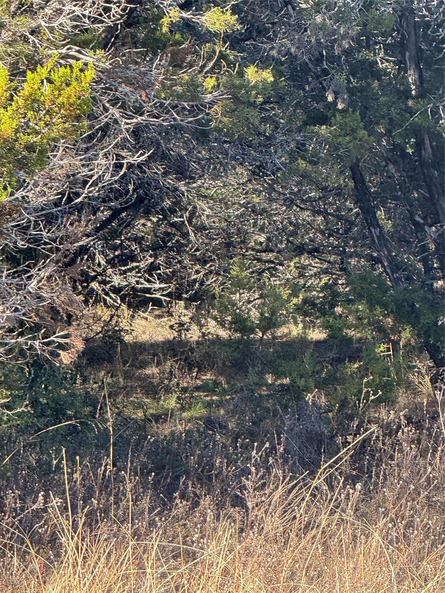 0.26 acres in Hill County gallery image 4