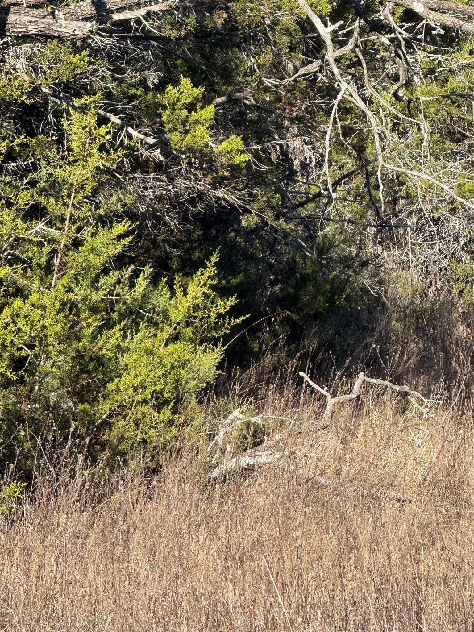 0.26 acres in Hill County featured view