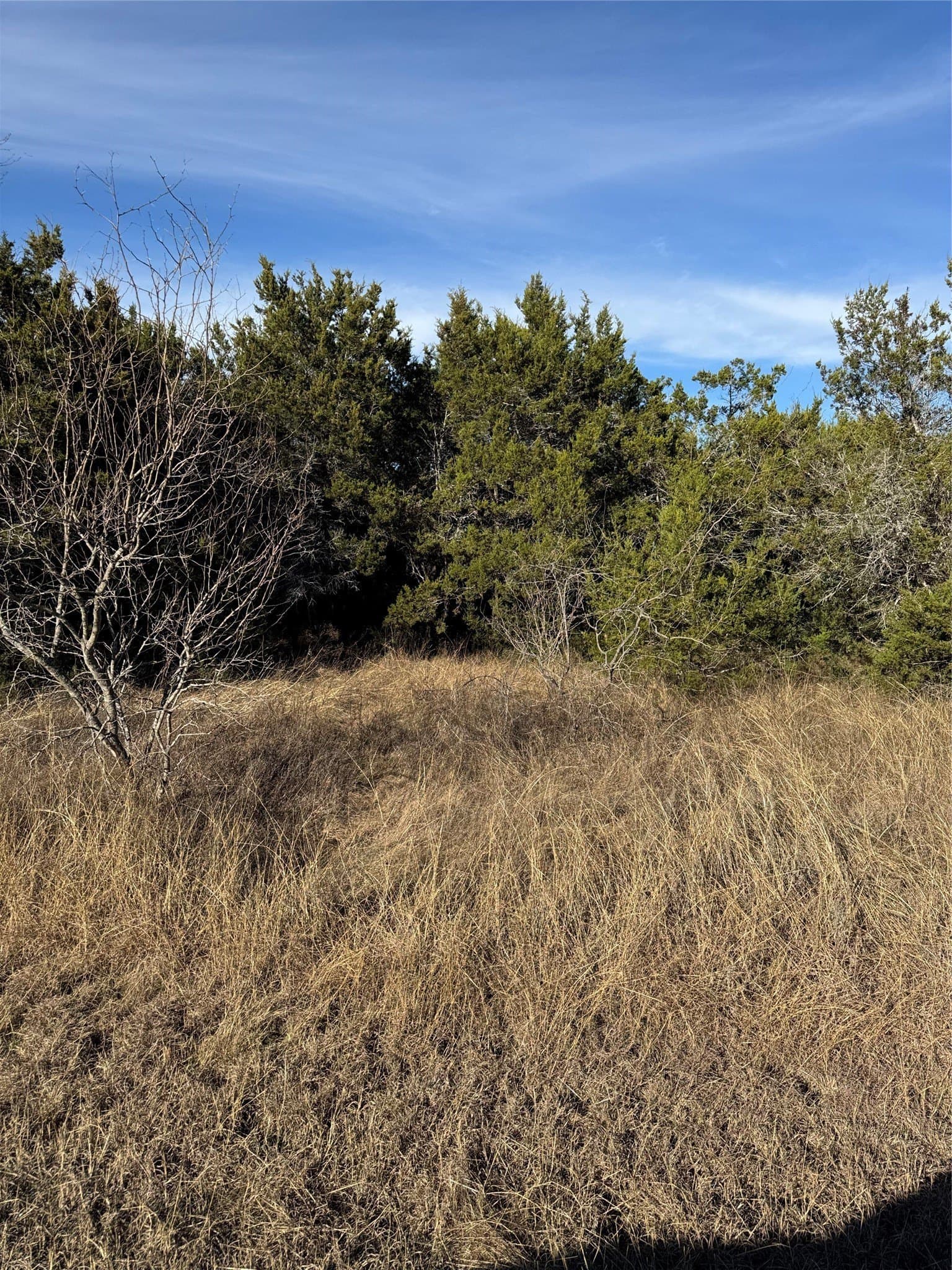 0.26 acres in Hill County - photo 14