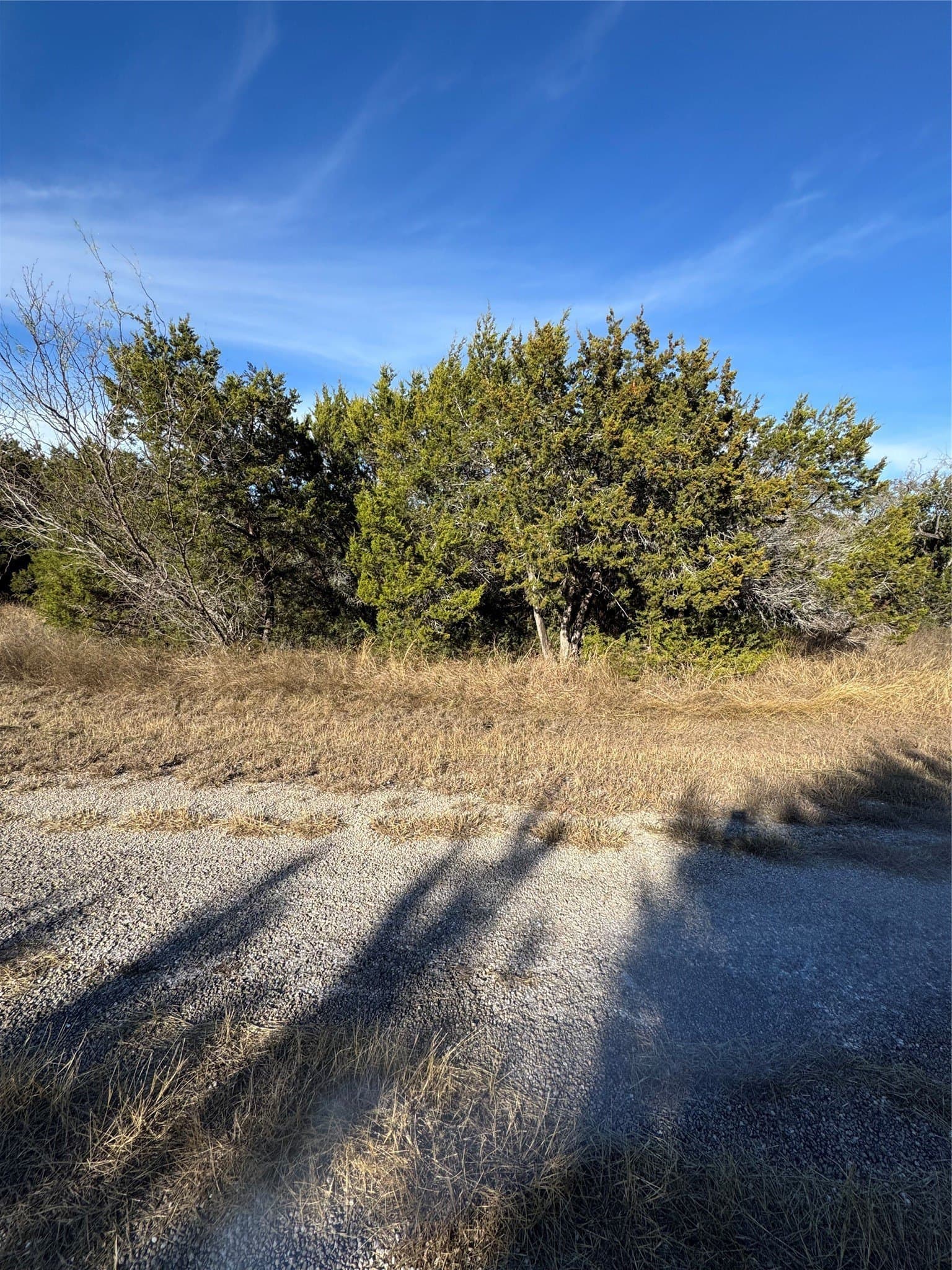 0.26 acres in Hill County - photo 9