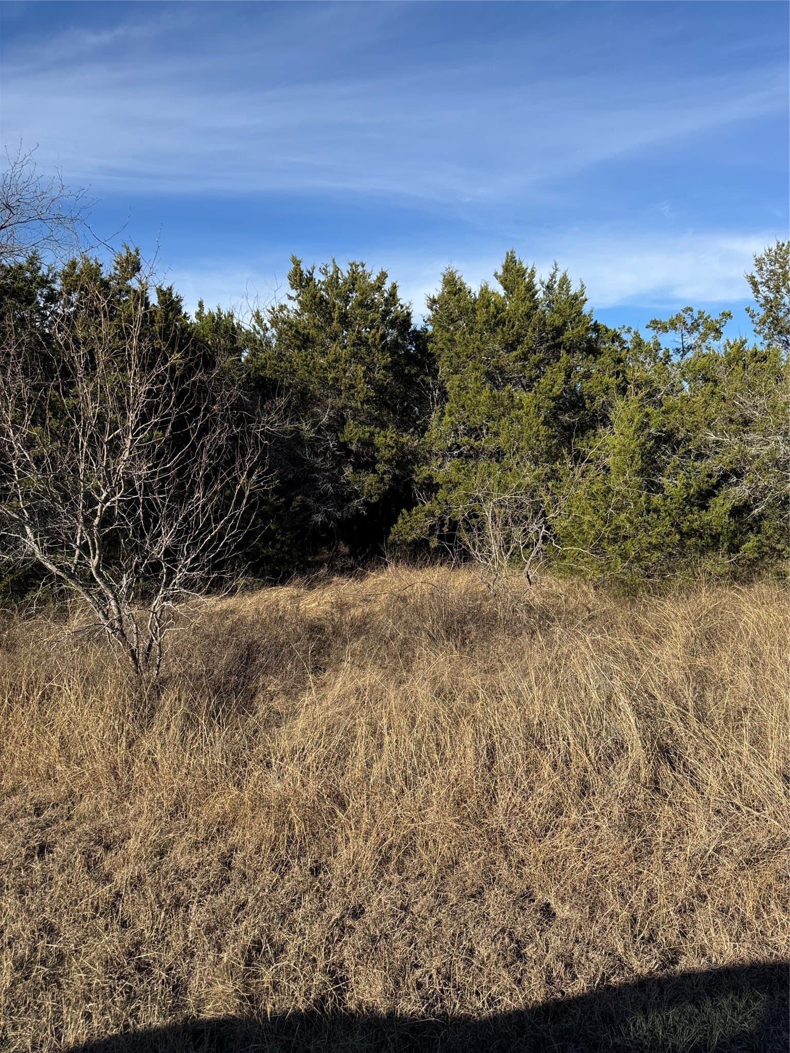 0.26 acres in Hill County - photo 13