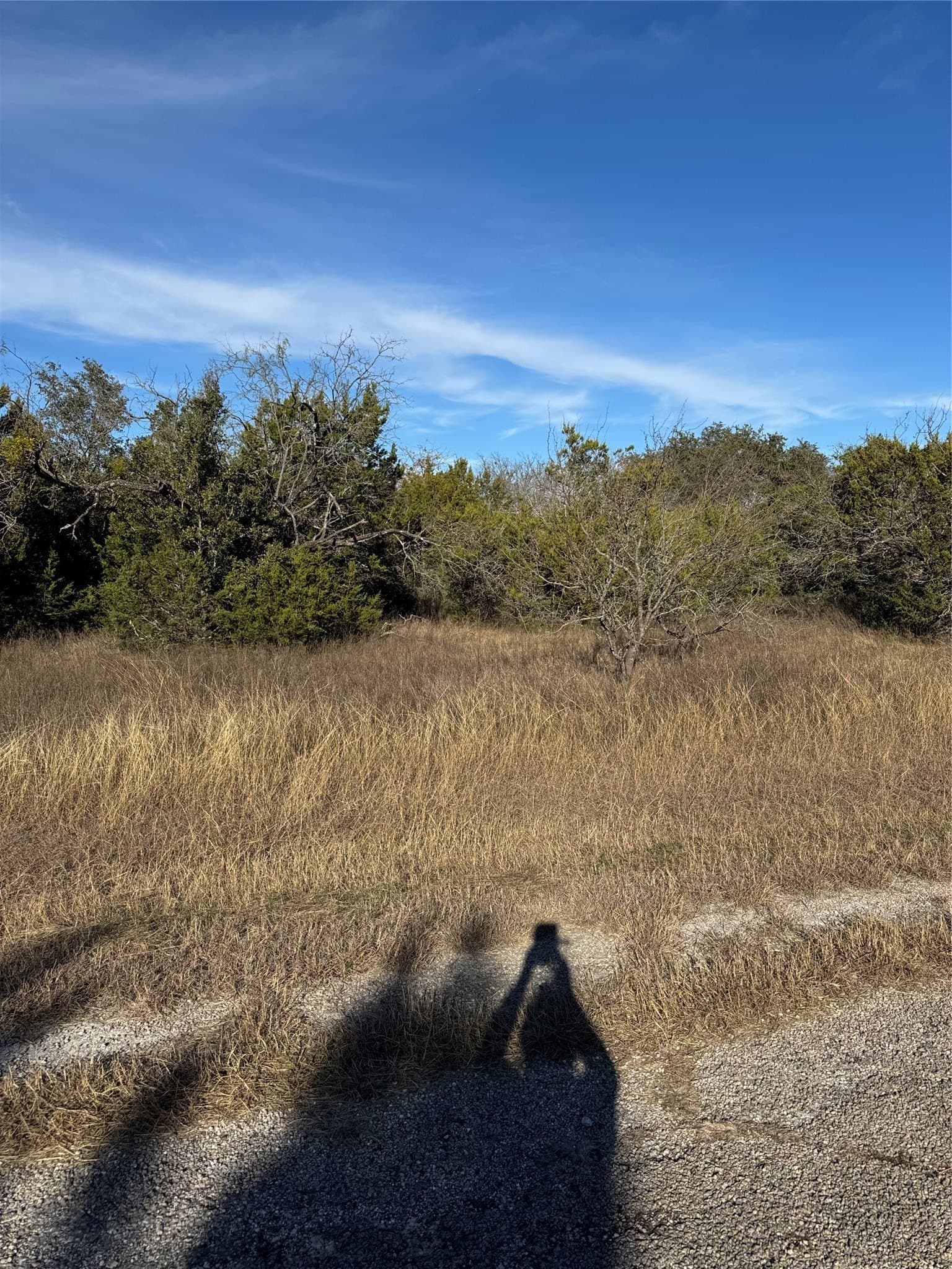 0.26 acres in Hill County gallery image 3