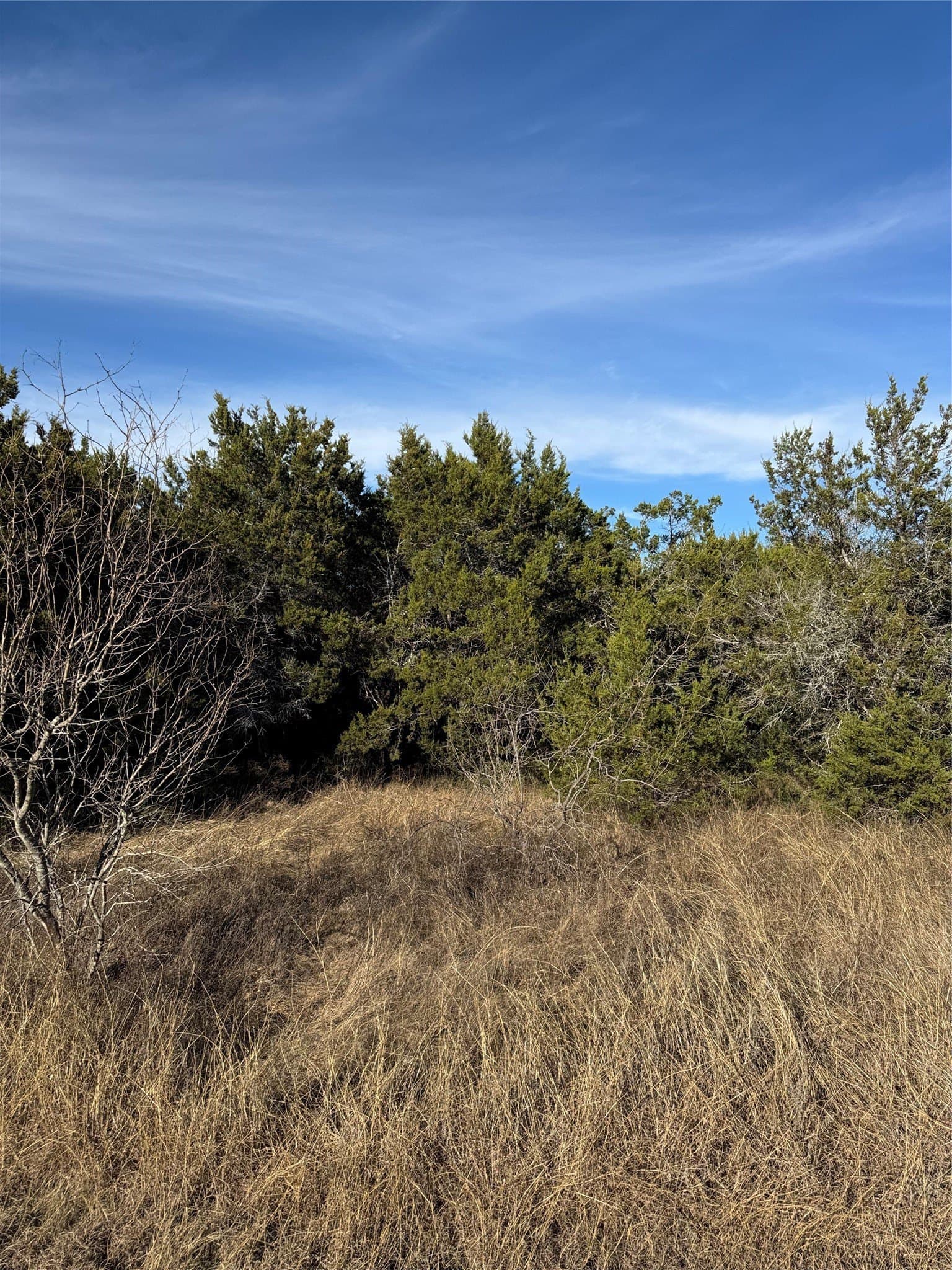 0.26 acres in Hill County - photo 15