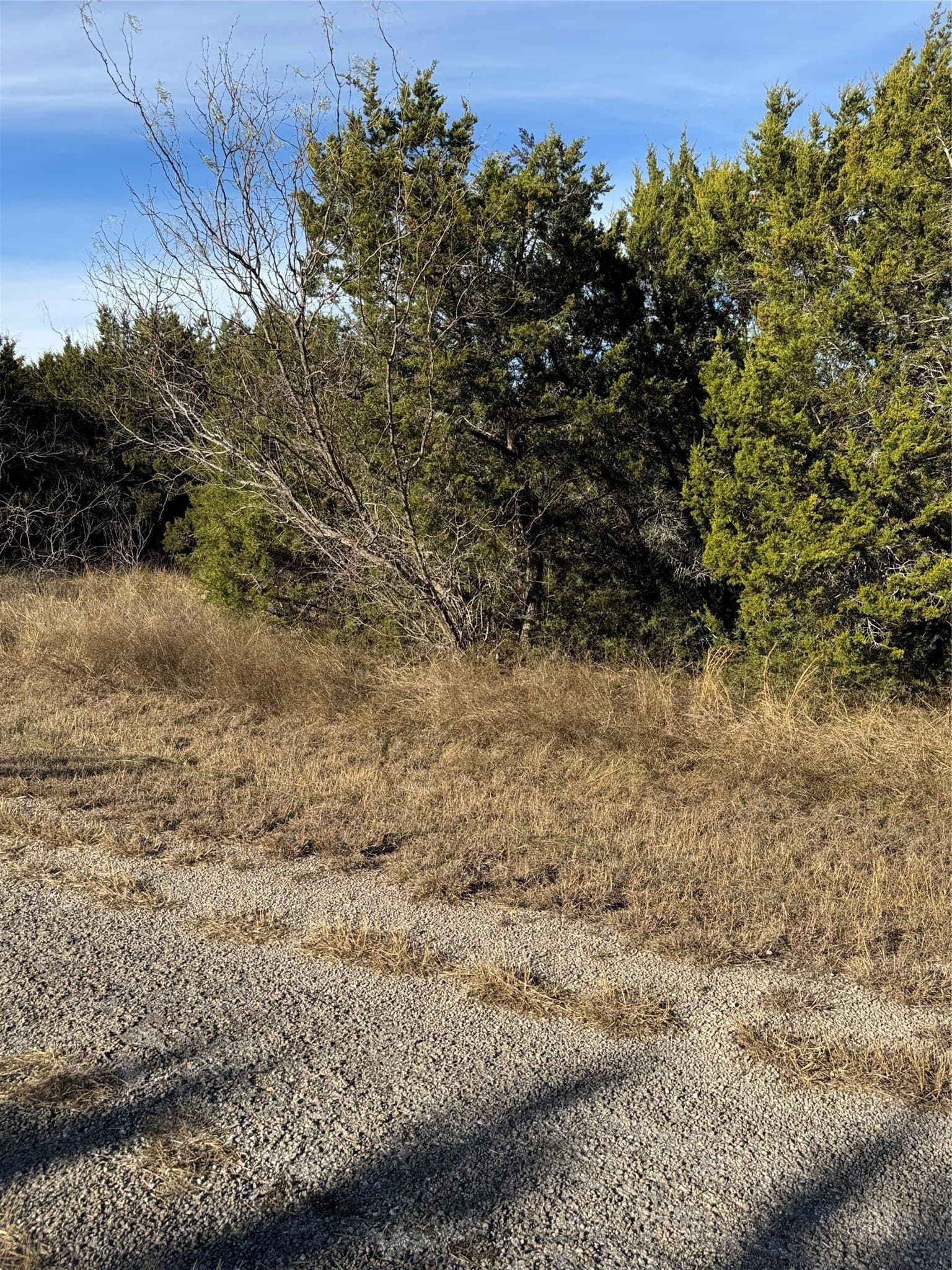0.26 acres in Hill County - photo 7