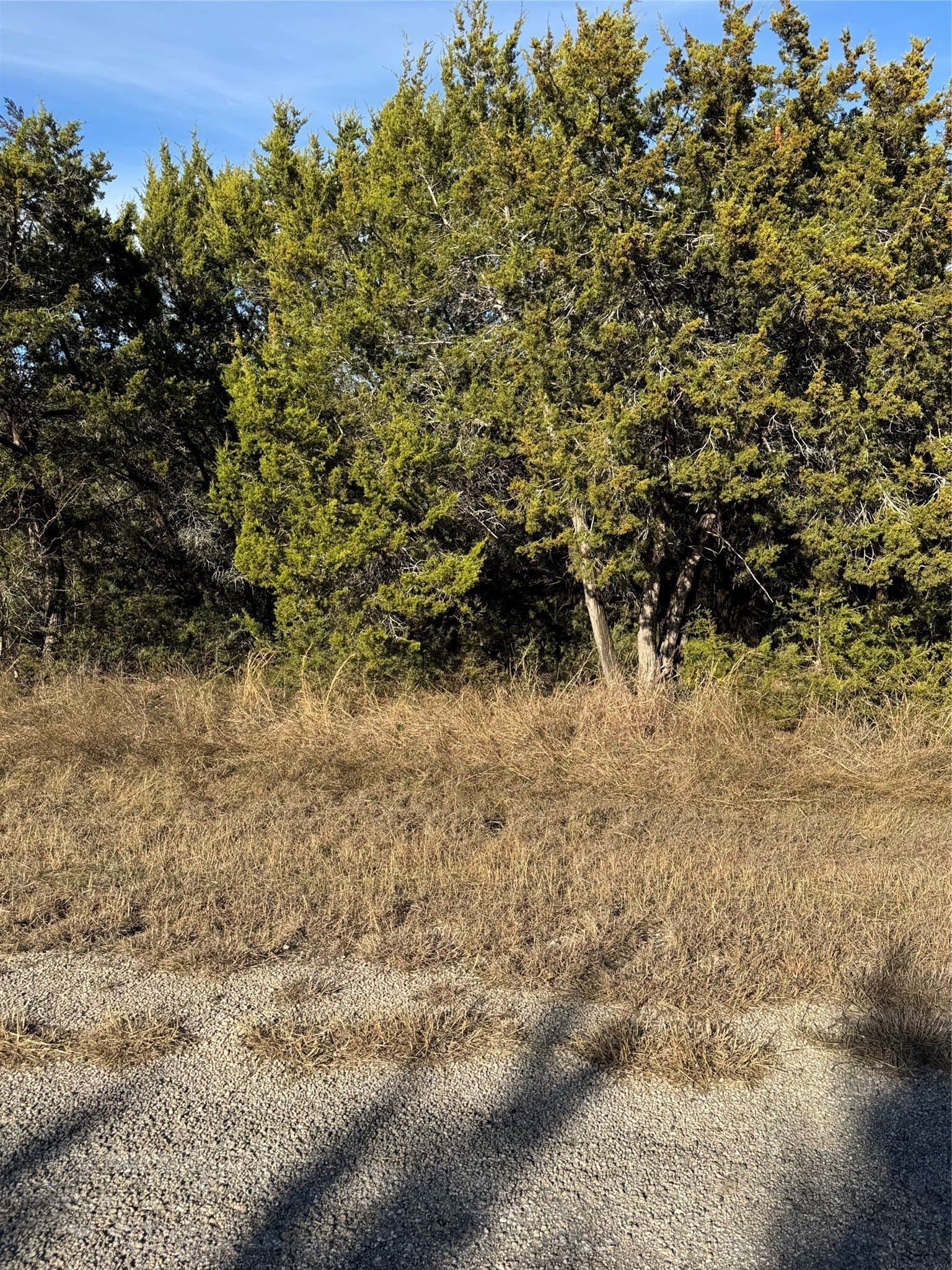 0.26 acres in Hill County - photo 6