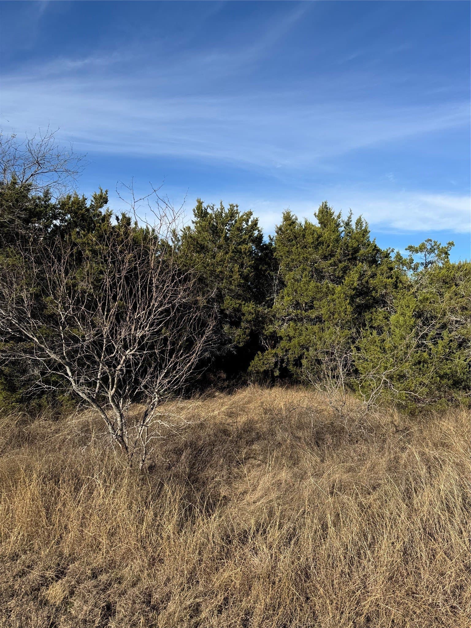 0.26 acres in Hill County - photo 16