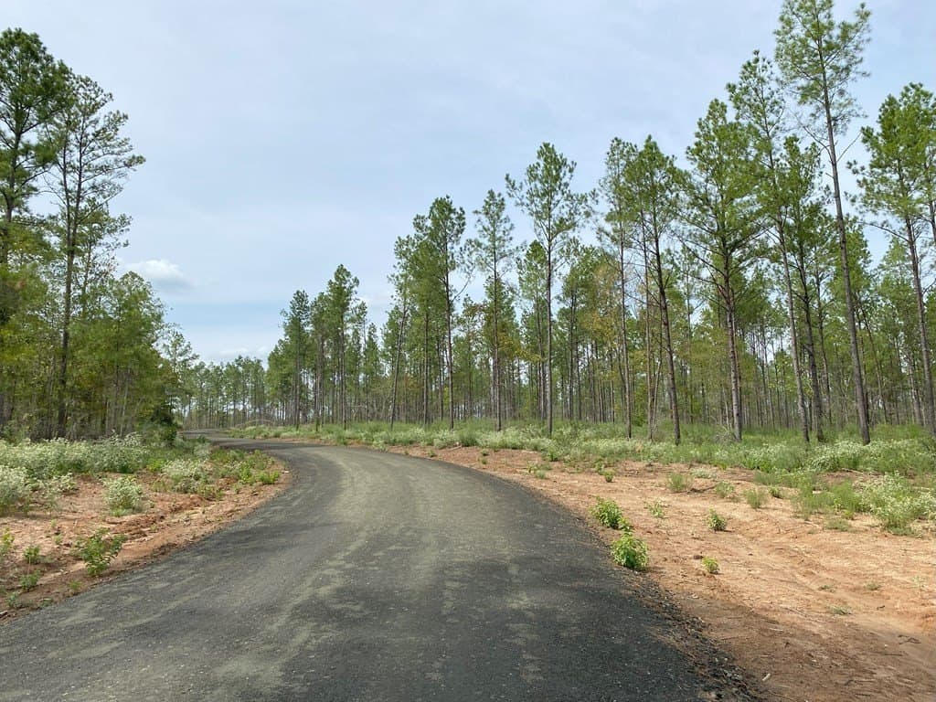 3.43 acres in Texas County featured view