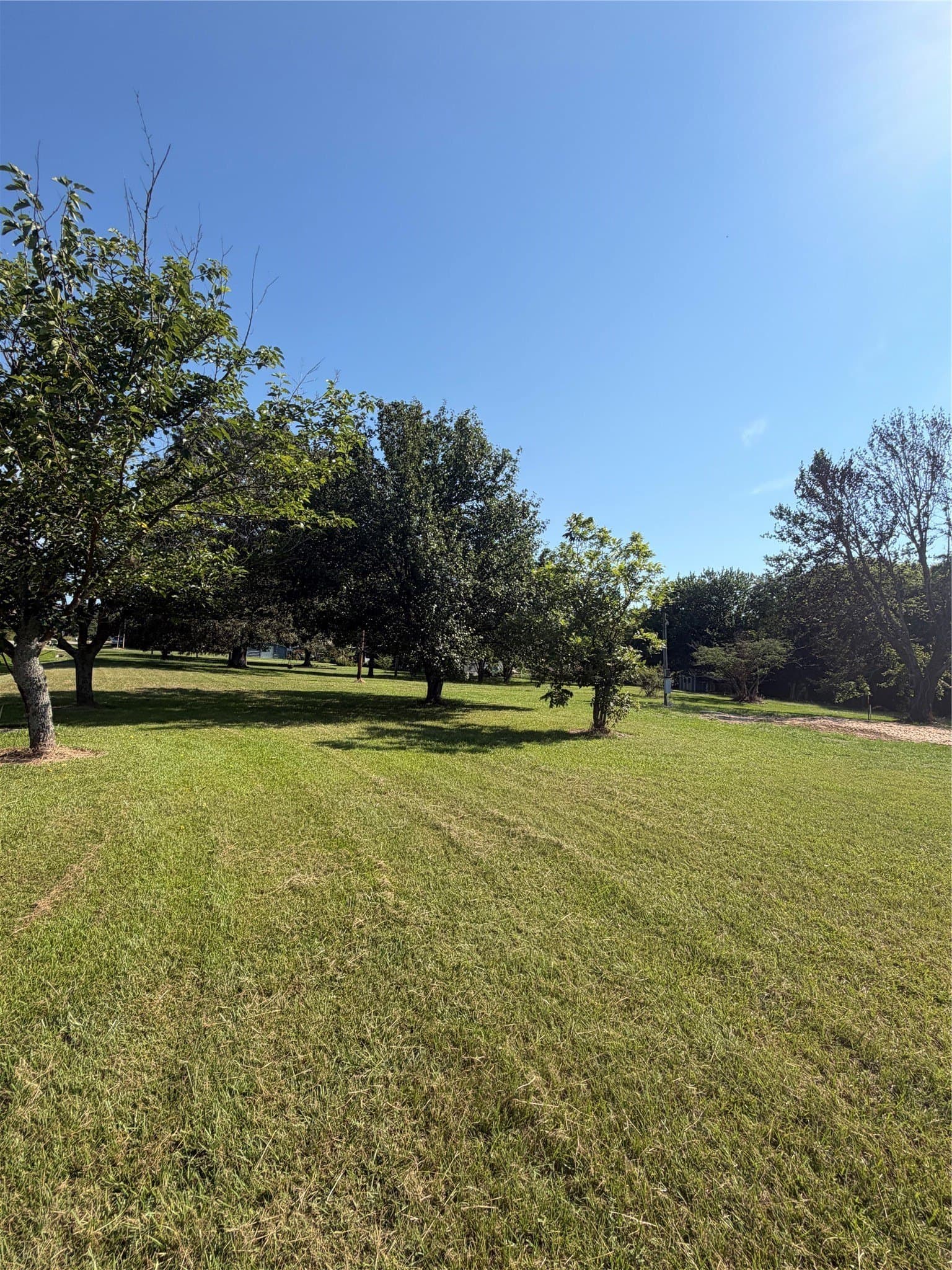 1.5 acres in Red River (TX) County gallery image 2