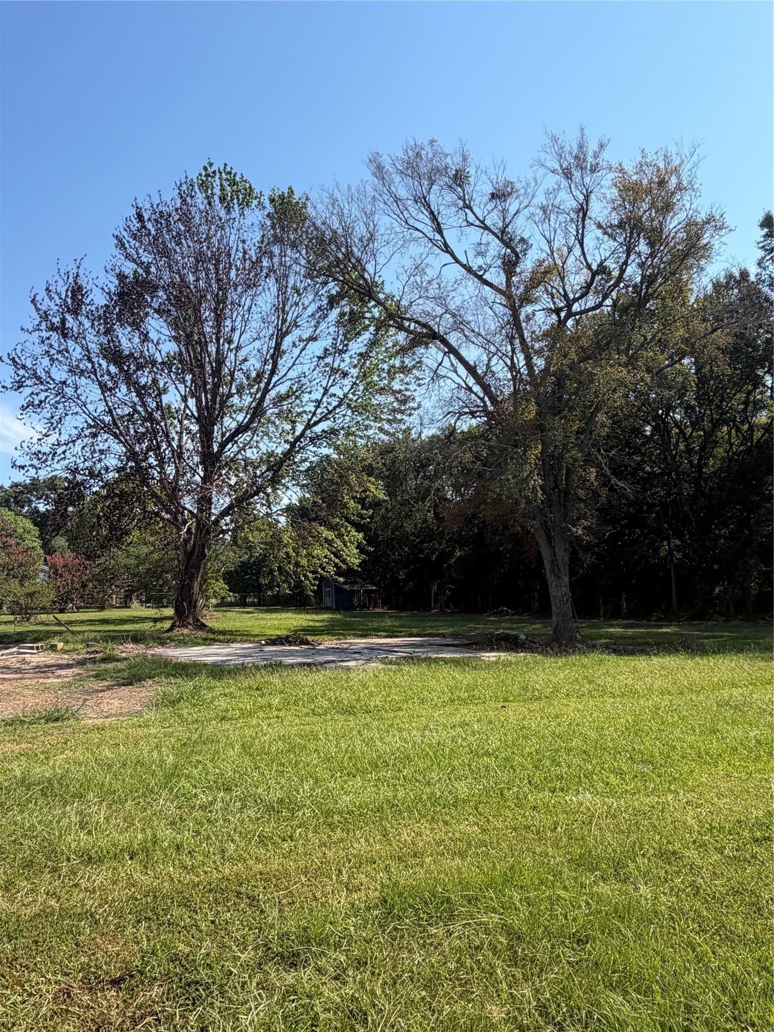 1.5 acres in Red River (TX) County gallery image 4