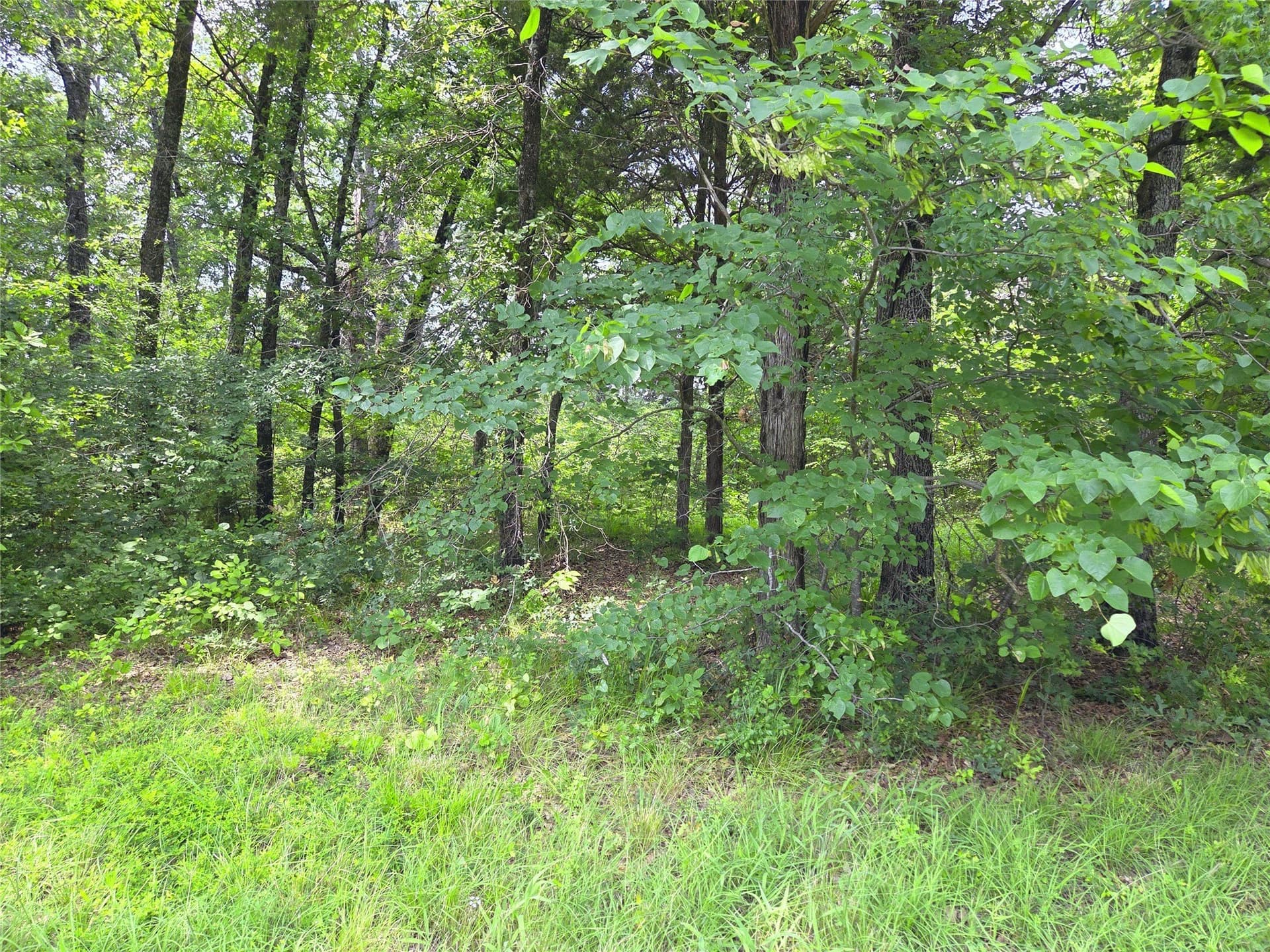 0.56 acres in Navarro County - photo 21