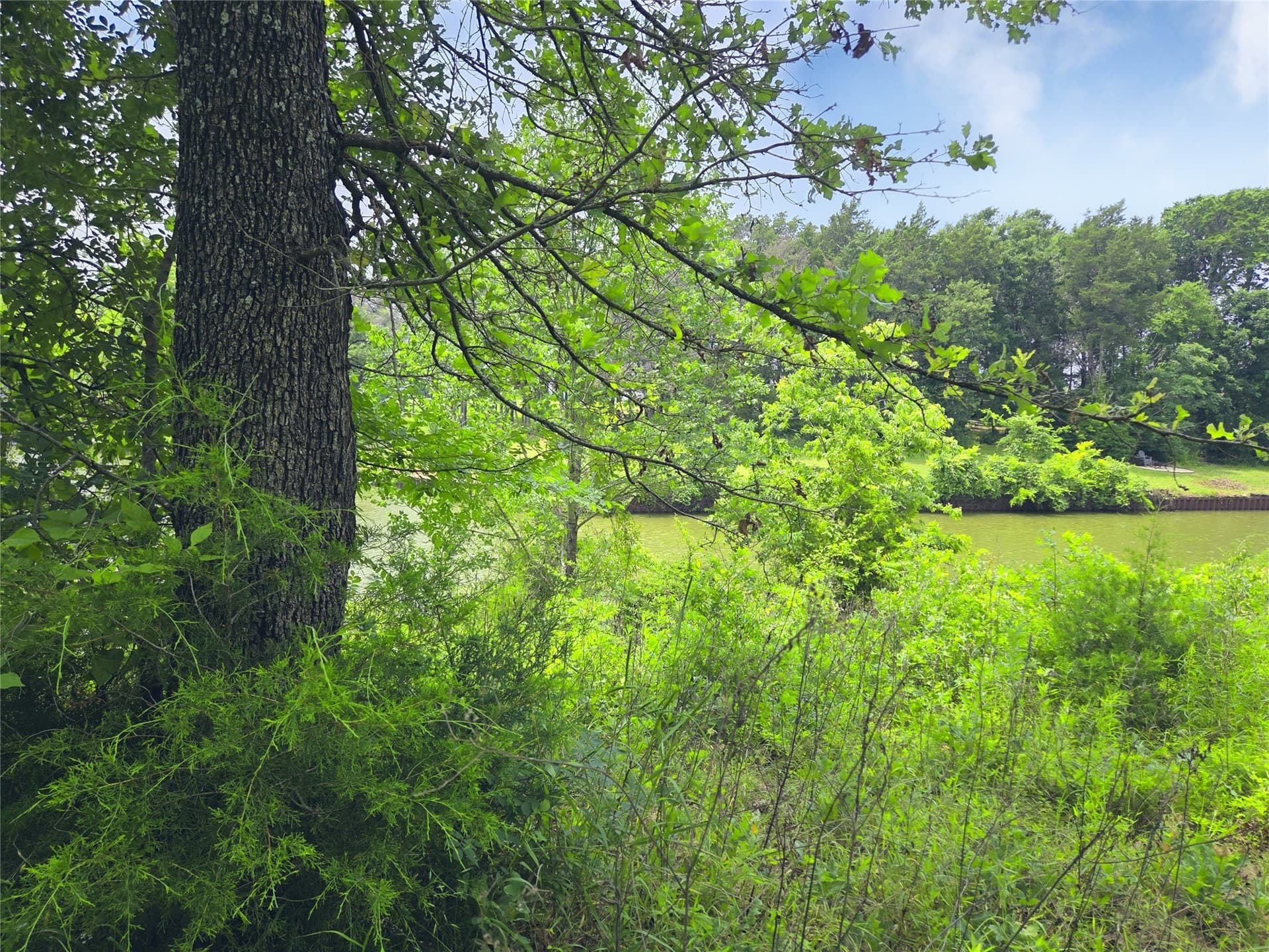 0.56 acres in Navarro County - photo 30