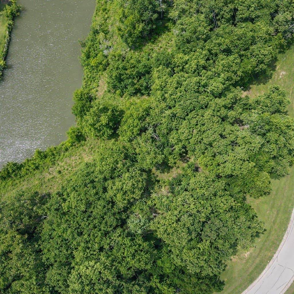 0.56 acres in Navarro County - photo 20