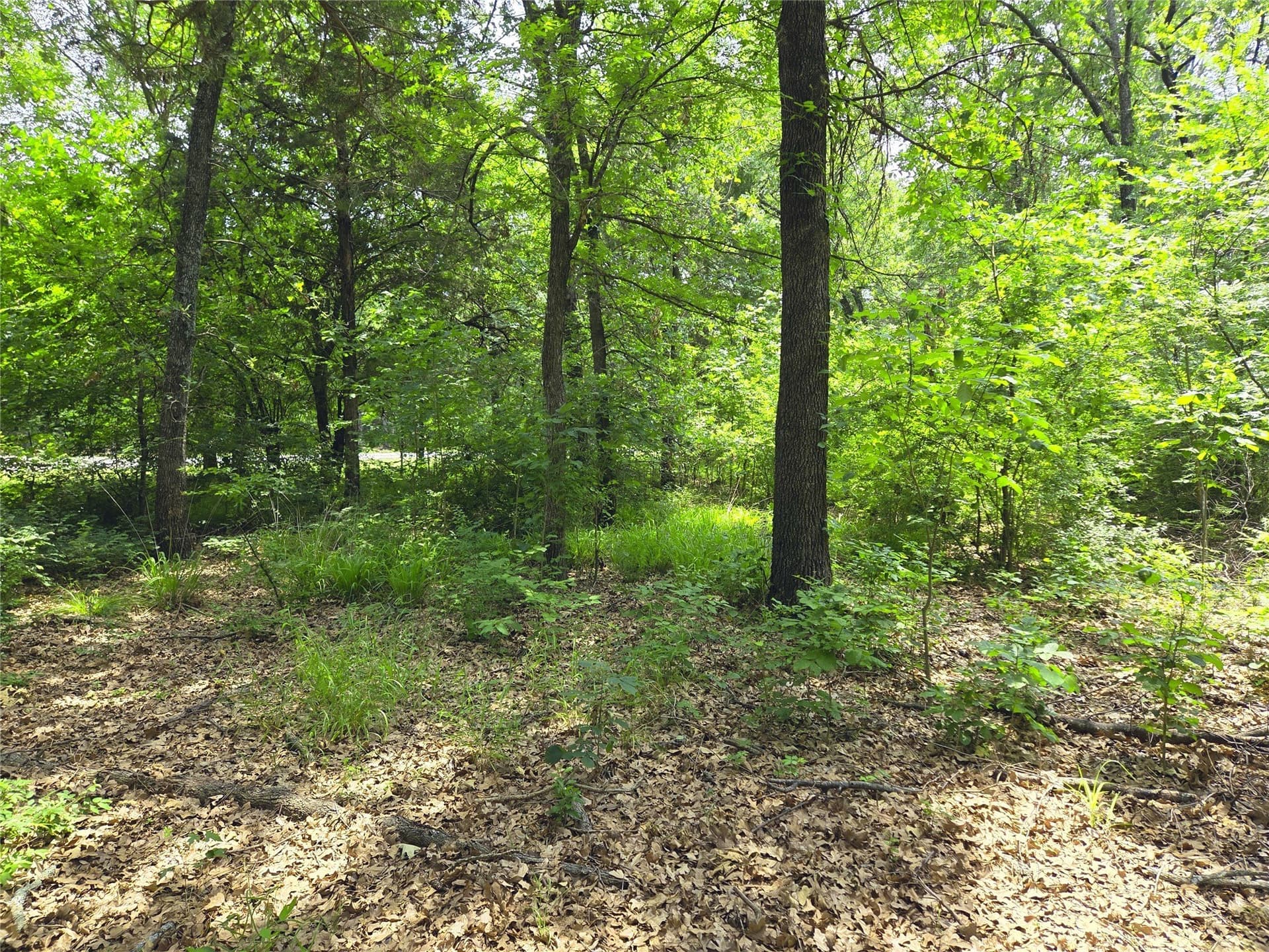 0.56 acres in Navarro County - photo 15