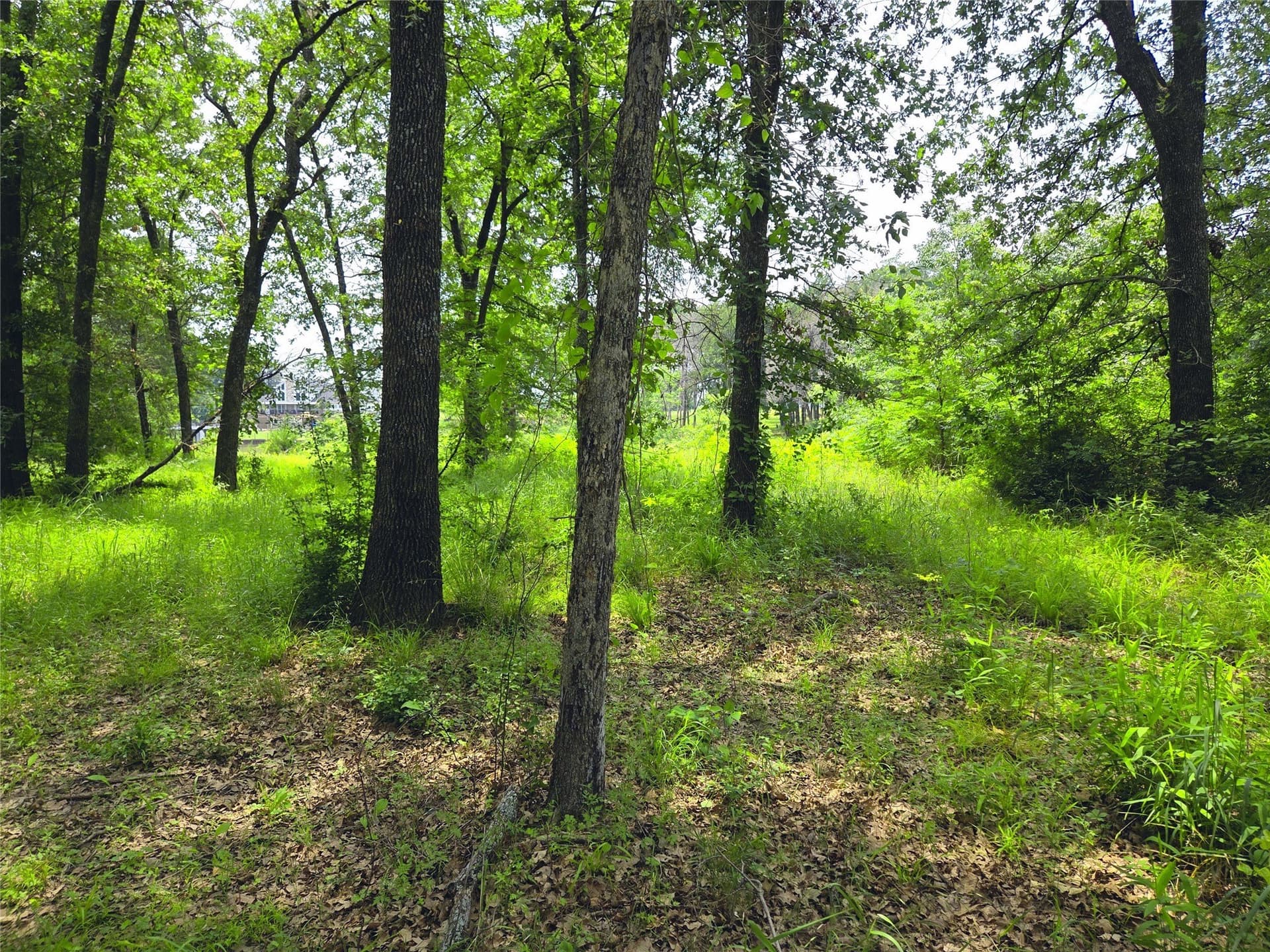 0.56 acres in Navarro County - photo 28
