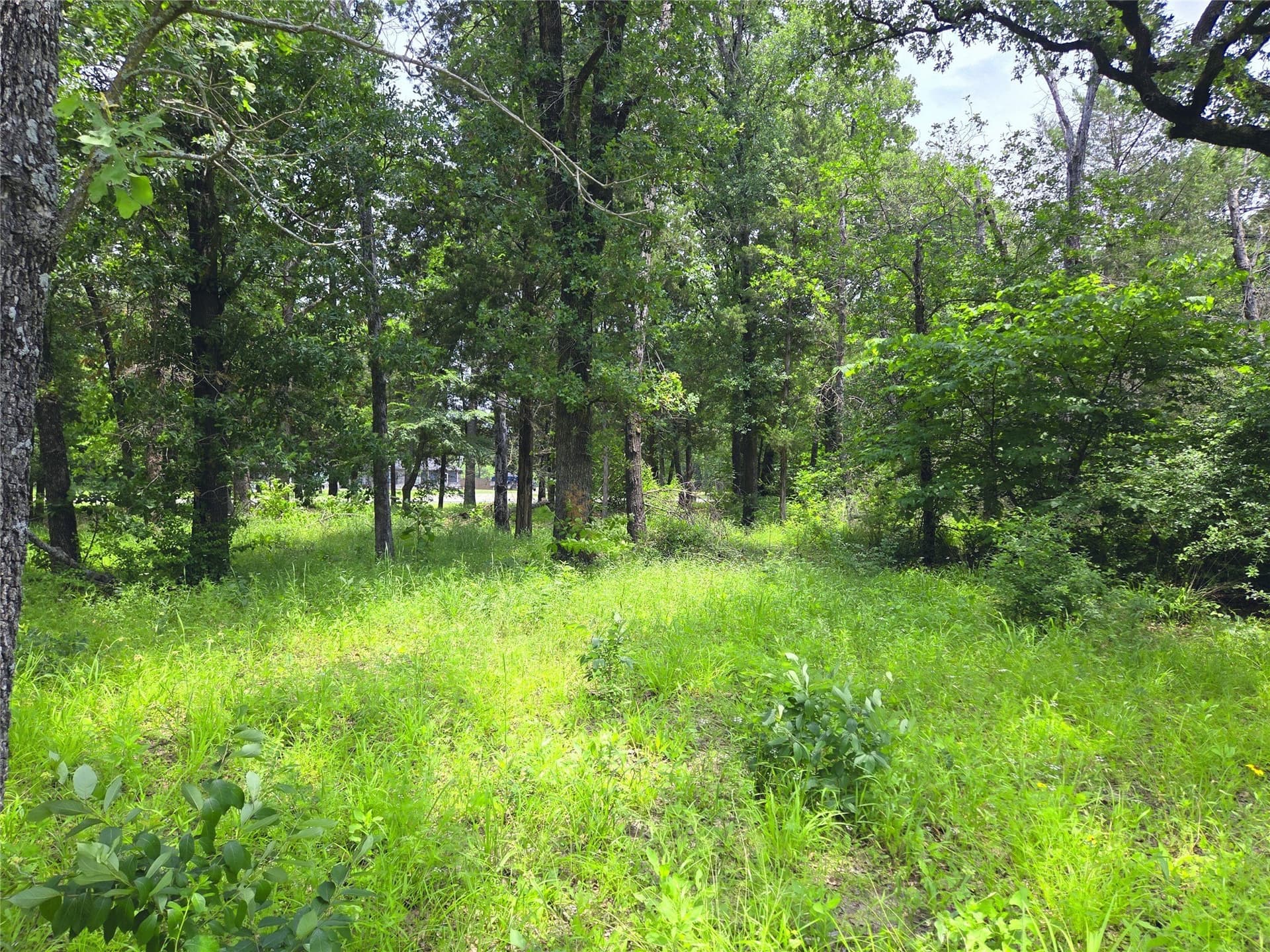 0.56 acres in Navarro County - photo 17