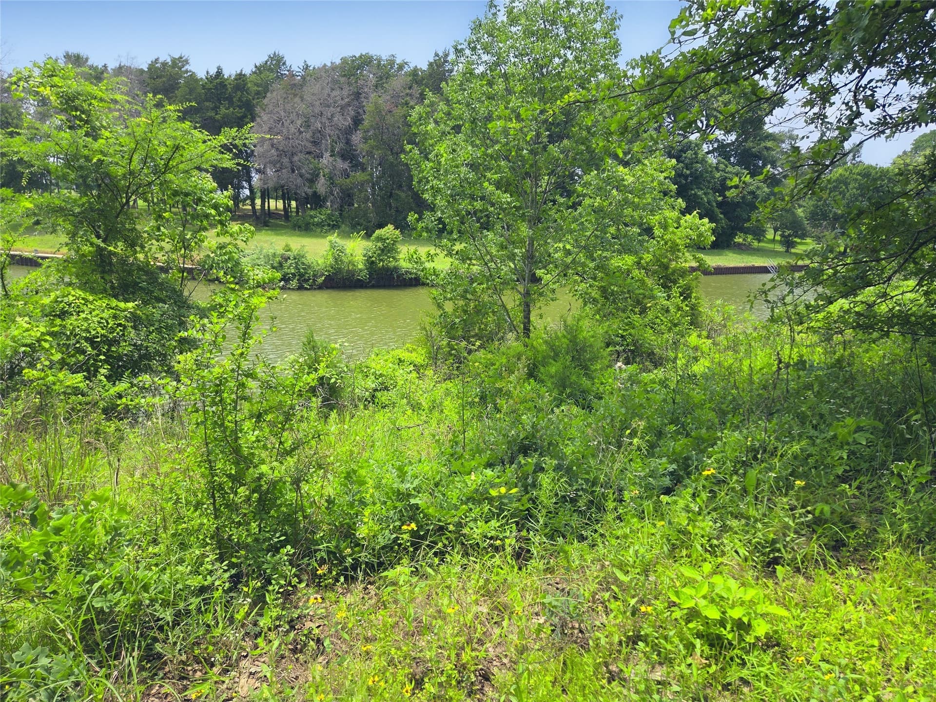 0.56 acres in Navarro County - photo 10