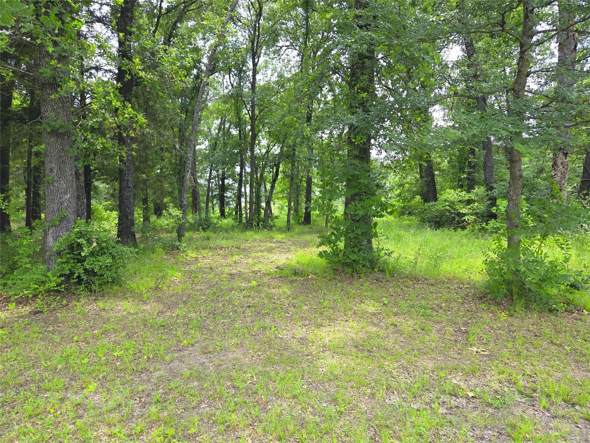 0.56 acres in Navarro County - photo 22
