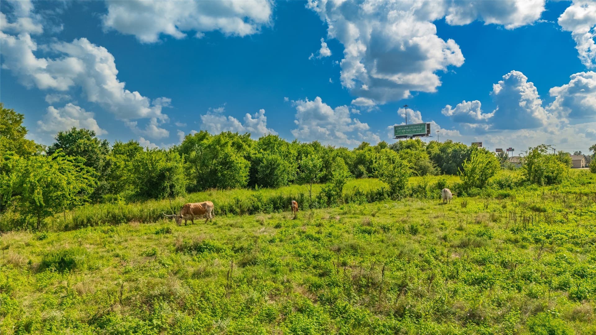 13.08 acres in Hunt County - photo 13