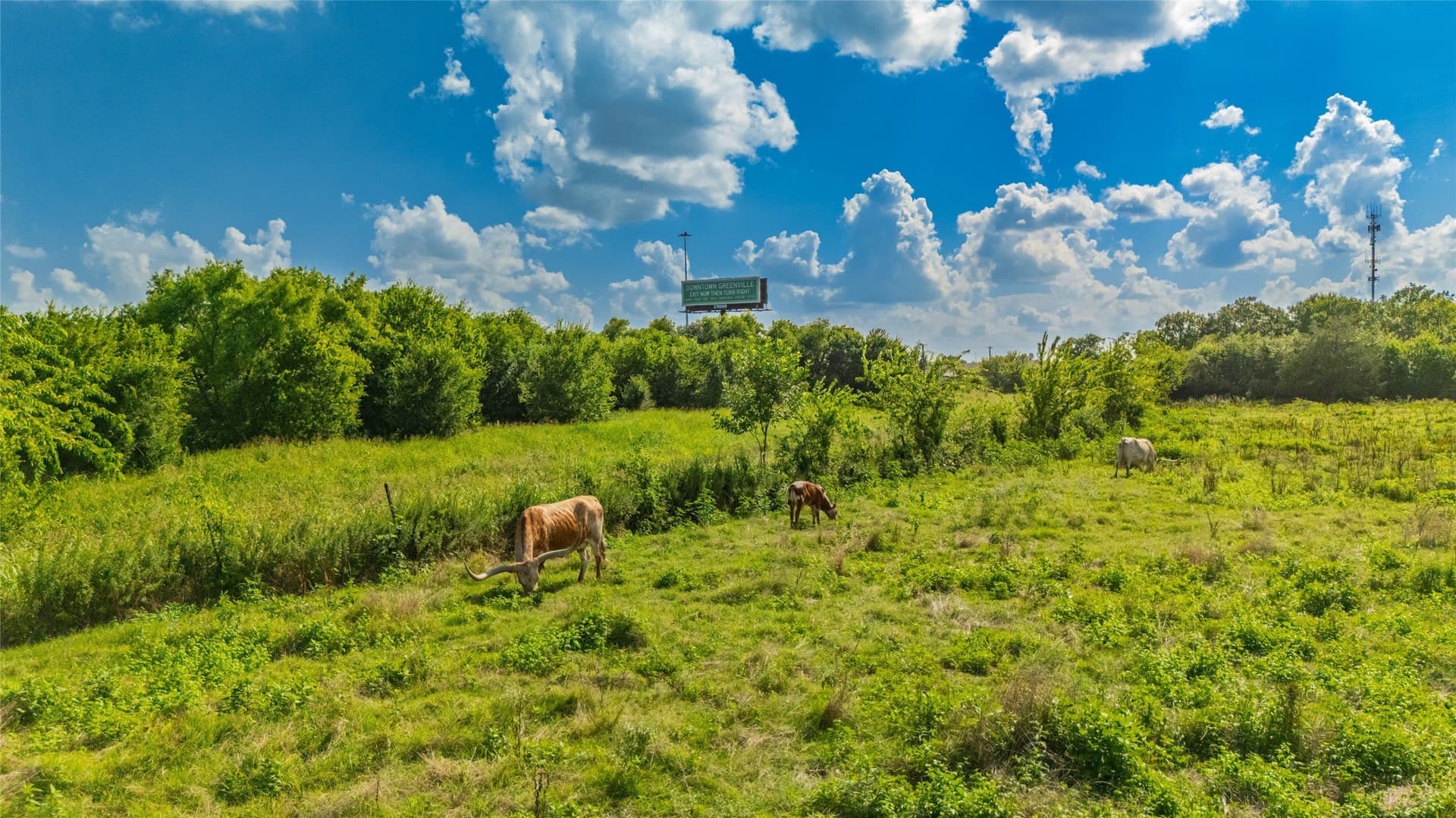 13.08 acres in Hunt County - photo 22