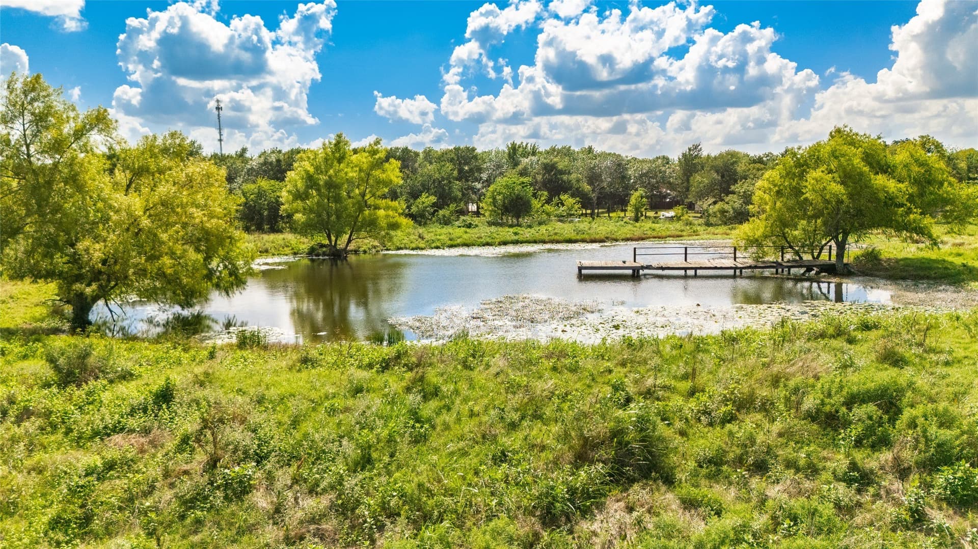 13.08 acres in Hunt County gallery image 2