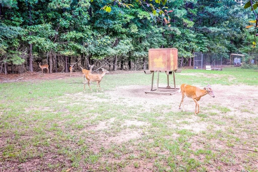 60.34 acres in Harrison County featured view