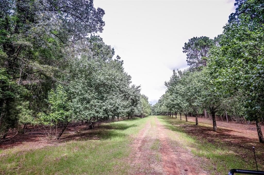 60.34 acres in Harrison County