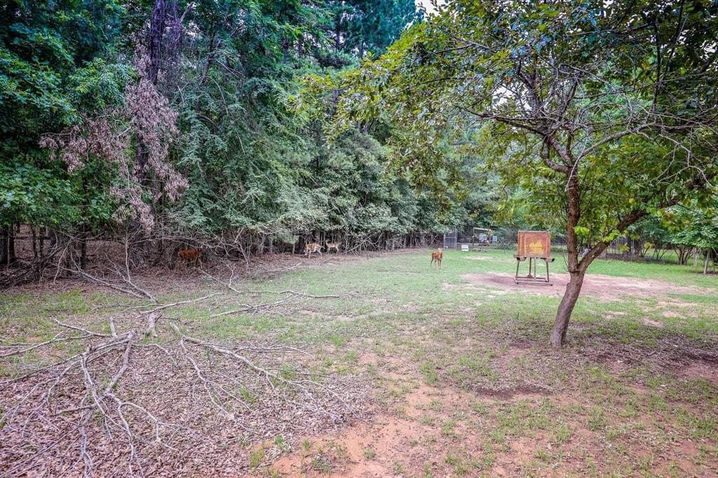 60.34 acres in Harrison County gallery image 4