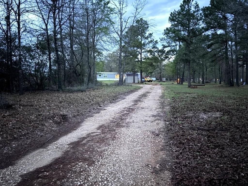 2 acres in Houston County gallery image 3