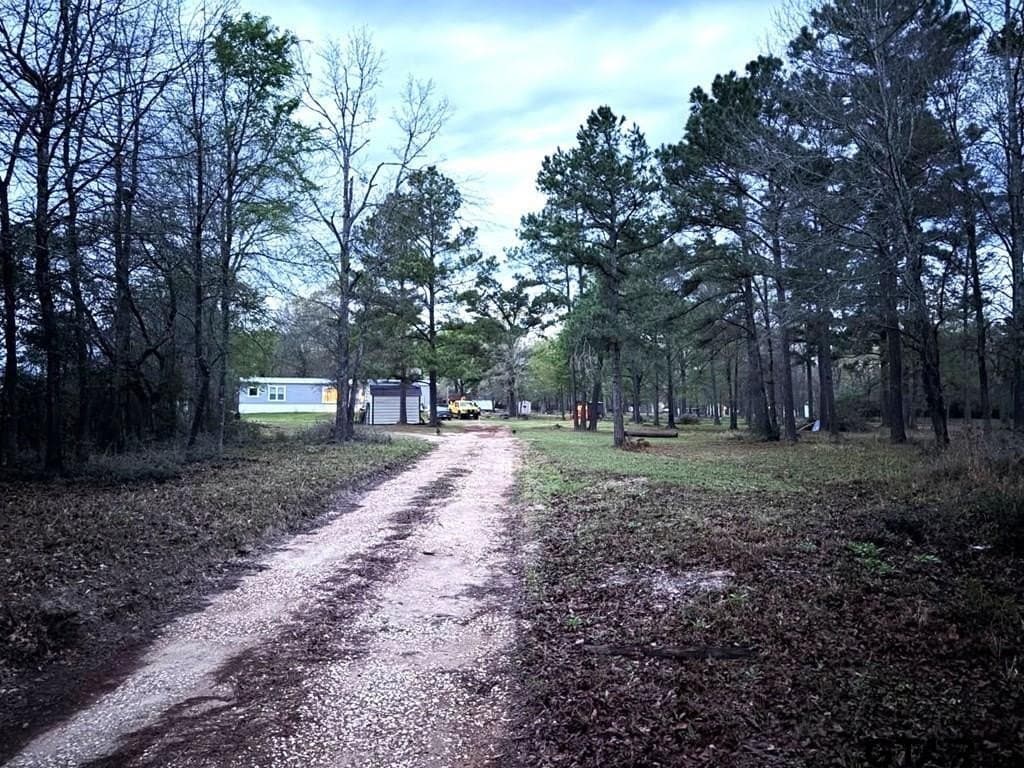 2 acres in Houston County gallery image 4