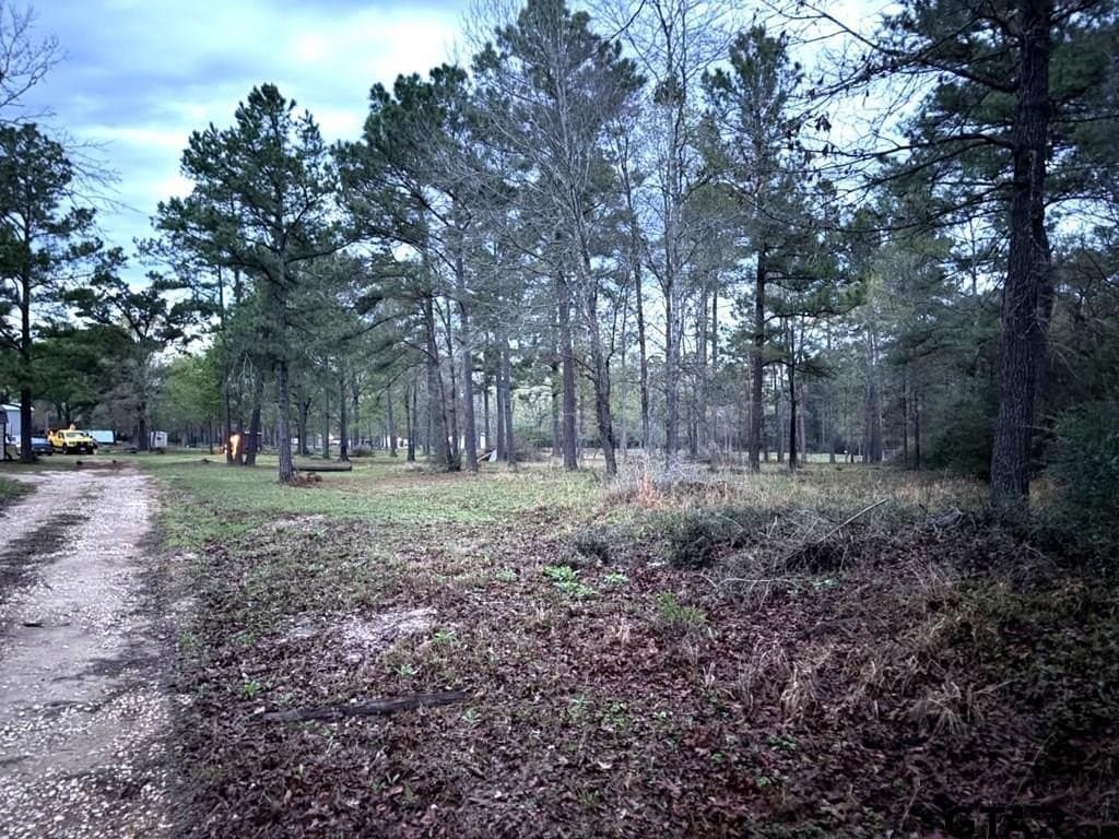 2 acres in Houston County gallery image 2